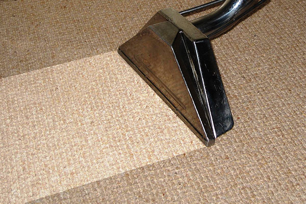 Professional Carpet Cleaning carpet cleaning near me