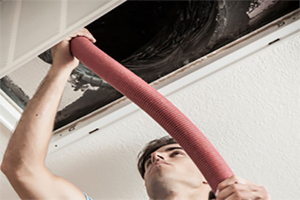 Air Duct Mold Removal how to clean air ducts